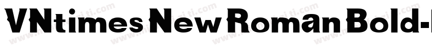 VNtimes New Roman Bold字体转换
